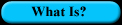 button_whatis.jpg (7566 bytes)